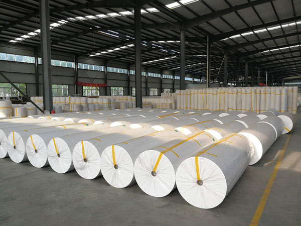 云县狭缝式涤纶纺粘无纺布